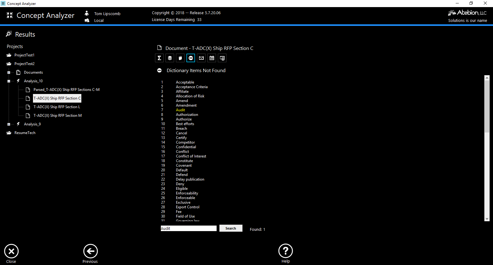 Screen image of the Dictionary Results panel